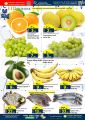 Panda Hypermarket Qatar Offers  2023