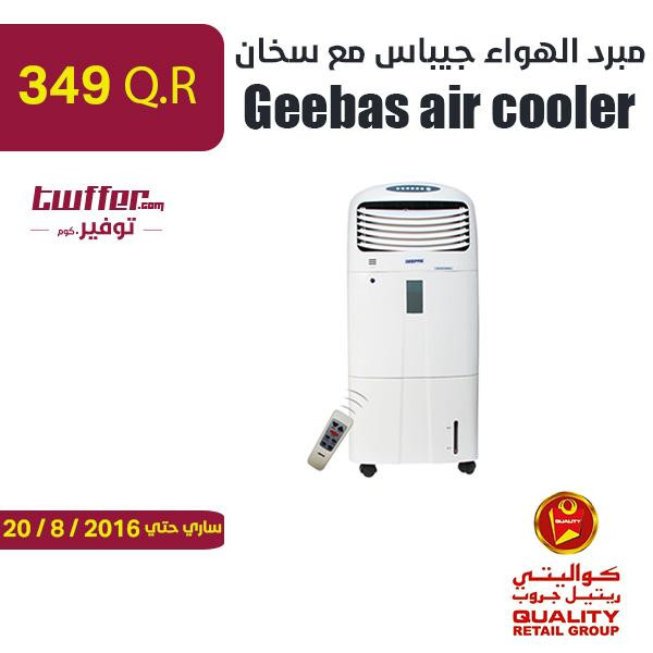 Geebas air cooler with heater