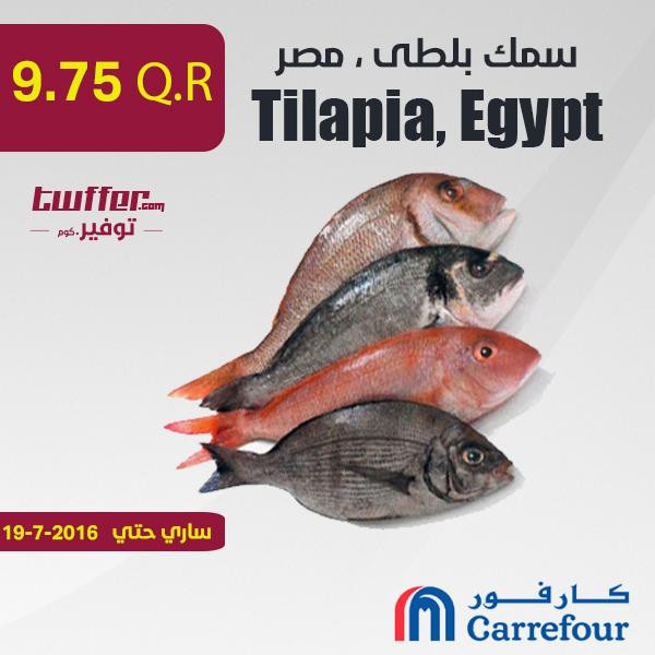 Tilapia, Egypt