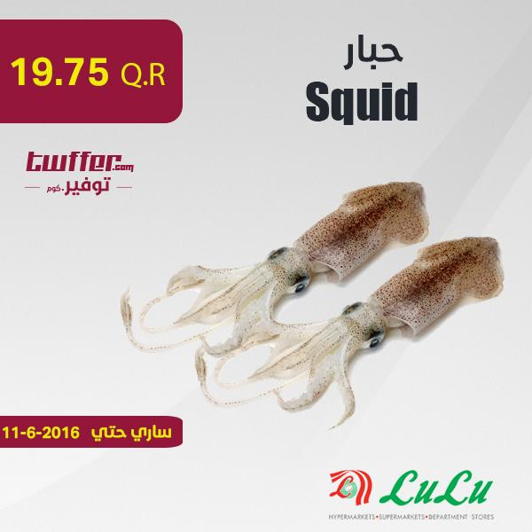 Squid 1KG